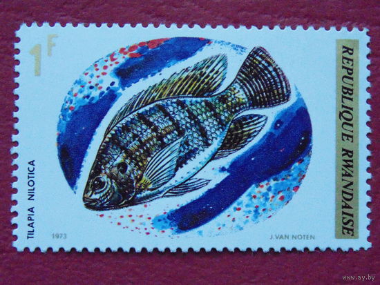 Руанда 1973г.  Рыбы. 2 марки.