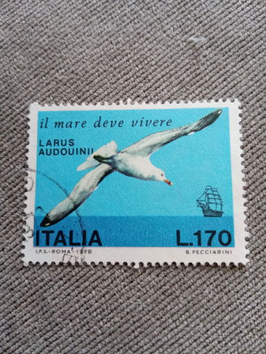 Италия 1978. Фауна. Larus Audouinii