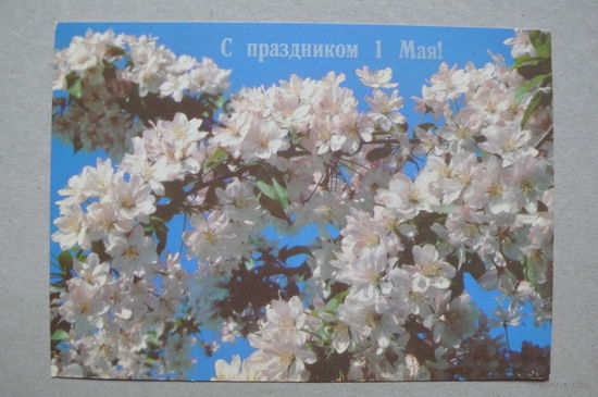 ДМПК, 20-06-1988, 1989; Дорожинский В.(фото), С праздником 1 Мая! чистая.