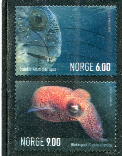 Норвегия. Морская фауна. Из вып.1