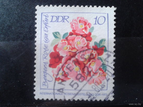 ГДР 1972 Межд. выставка роз