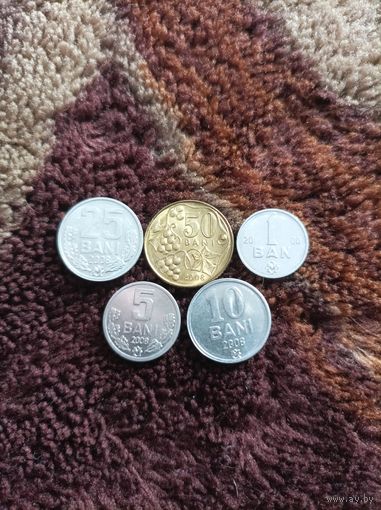 Набор монет Молдовы