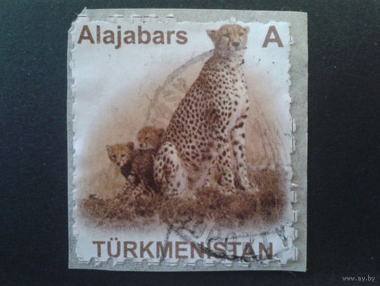 Туркменистан 2007 гепард