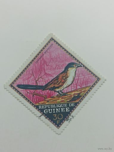 Гвинея 1971. Дикие птицы