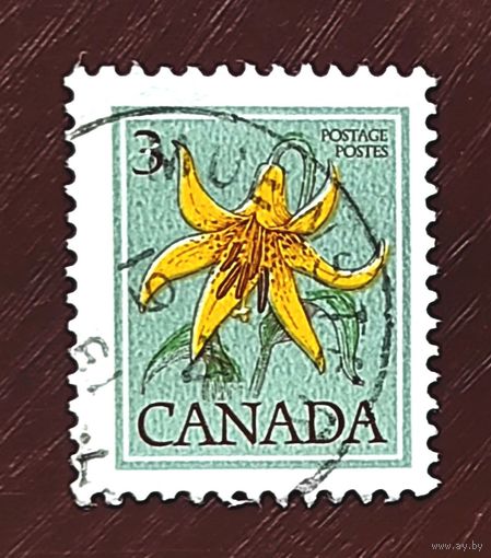 Канада: цветок