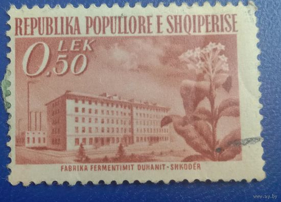 Албания 1953