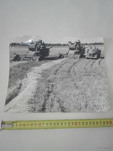 Старое фото уборка зерновых