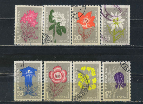 Румыния НР 1957 Цветы Карпатских гор Полная #1647-54