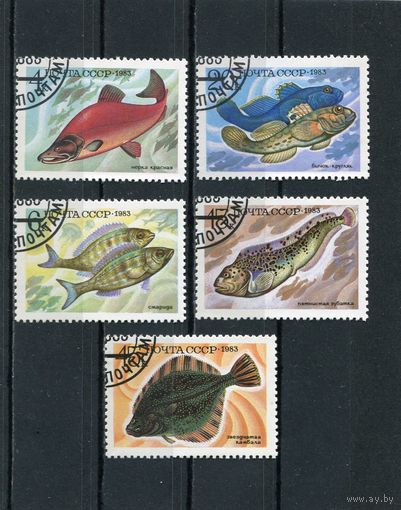 СССР 1983.. Промысловые рыбы