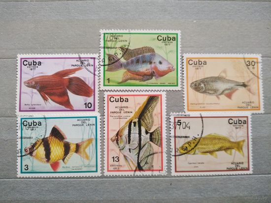 Куба.1977г. Фауна.