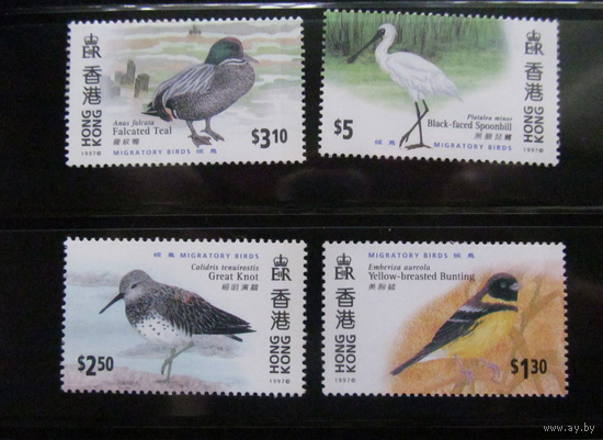 1997 Китай Гонконг фауна – птицы Mi# 811/4 MNH