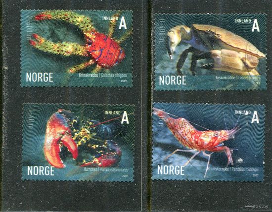 Норвегия. Морская фауна. Вып.06