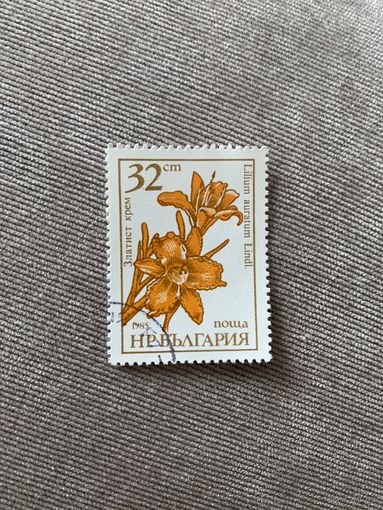 Болгария 1985. Цветы. Lilium auratum. Марка из серии