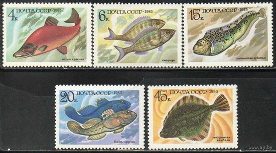 Промысловые рыбы СССР 1983 год (5414-5418) серия из 5 марок