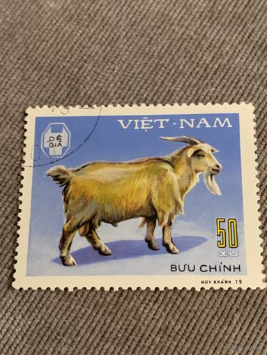Вьетнам 1979. Домашний скот. Козы. Марка из серии