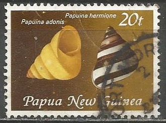 Папуа Новая Гвинея. Брюхоногая улитка. 1981г. Mi#424.