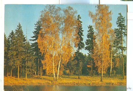 Фотооткрытка. Осенний пейзаж. 1983 год