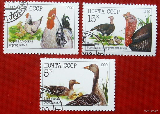 СССР. Домашние птицы. ( 3 марки ) 1990 года. 2-4.