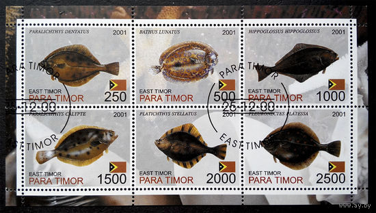 Восточный Тимор 2001  г. Камбалы. Рыбы. Фауна, полная серия + Блок #0080-Ф1