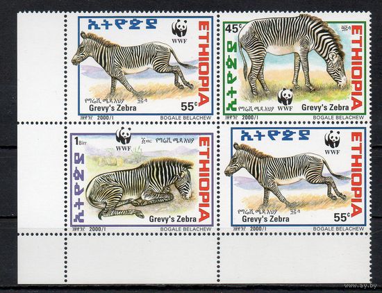 Зебры Эфиопия 2001 год серия из 4-х марок в квартблоке