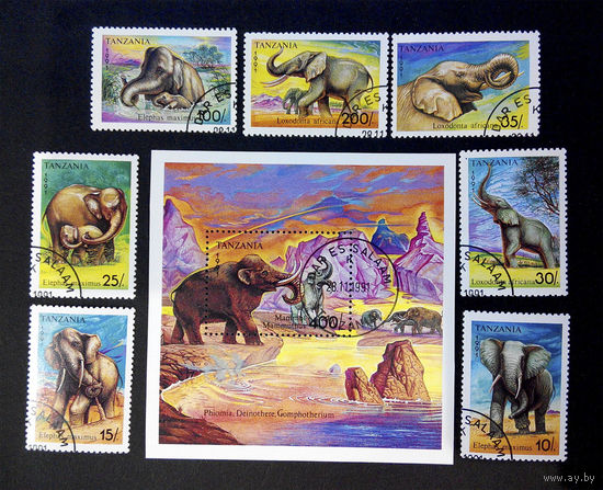 Танзания 1991 г. Слоны. Фауна, полная серия из 7 марок + Блок #0140-Ф1