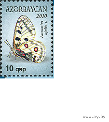 2010 Азербайджан 834 Бабочка ** фауна