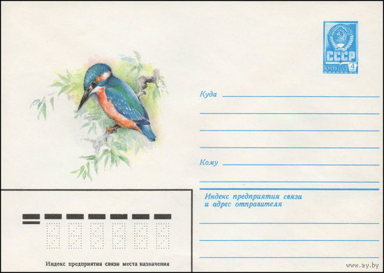 Художественный маркированный конверт СССР N 14295 (05.05.1980) [Зимородок]