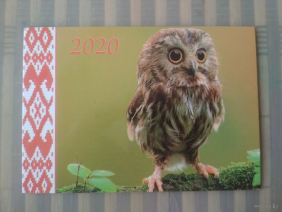 Карманный календарик. Птицы. Сова. 2020 год