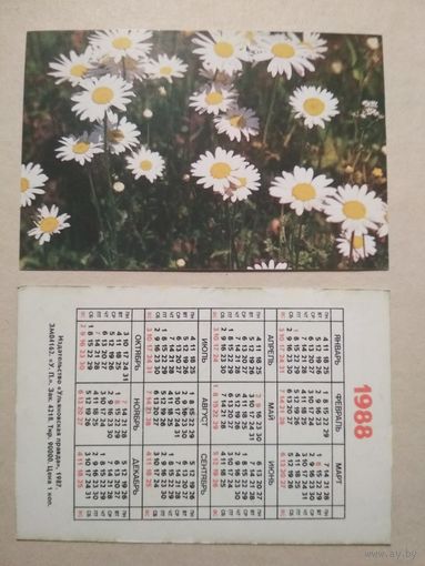 Карманный календарик. Ромашки. 1988 год
