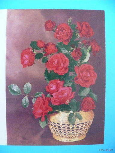 Круцко Б.(фото), Розы, 1989, двойная, чистая (из сувенирного комплекта).