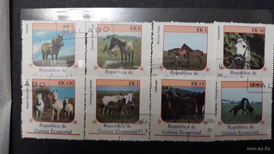 Лошади, фауна Гвинея марки - 8 штук