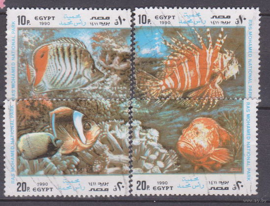 Рыбы фауна Национальный парк Рас-Мохаммед Египет 1990 год  лот 50  ПОЛНАЯ СЕРИЯ