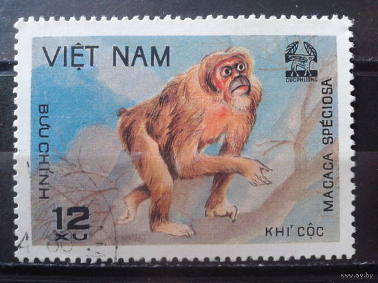 Вьетнам 1981 Обезьяна