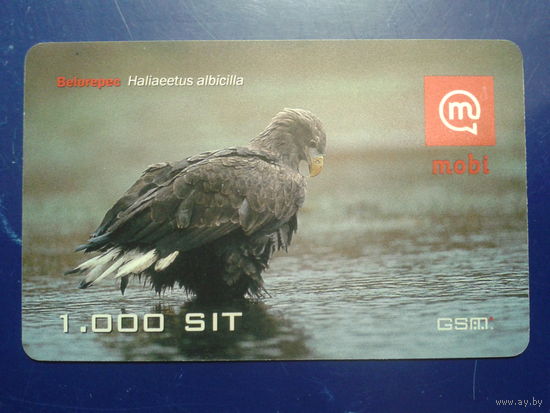 Словения 2007 орел