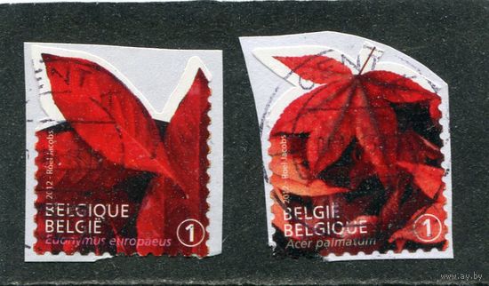 Бельгия. Листва деревьев