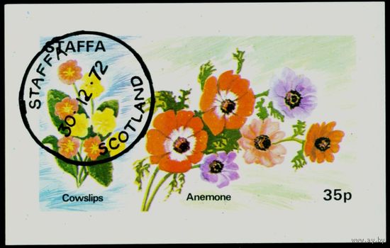 Цветы Стаффа 1972 год блок из 1 беззубцовой марки