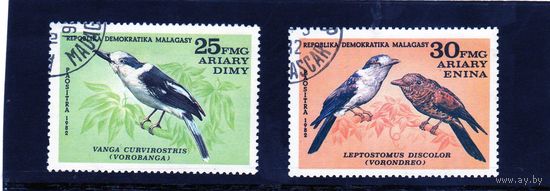 Мадагаскар. Фауна. Птицы. 1982.