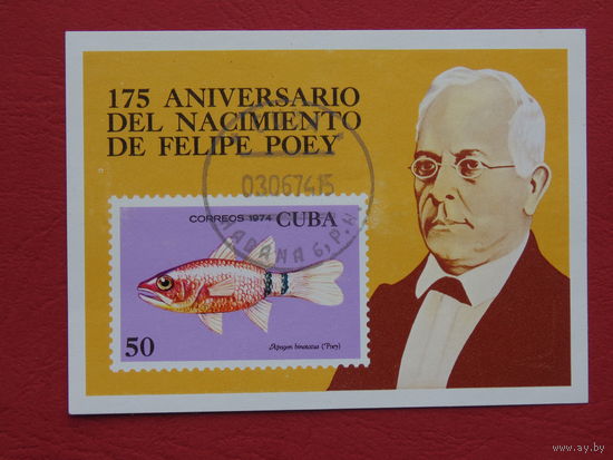 Куба 1974г. Морская фауна. Известные люди.