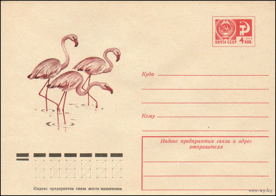 Художественный маркированный конверт СССР N 9576 (19.03.1974) [Фламинго]