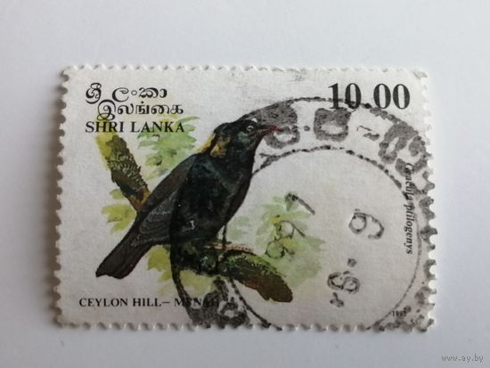 Шри Ланка 1993. Птицы.