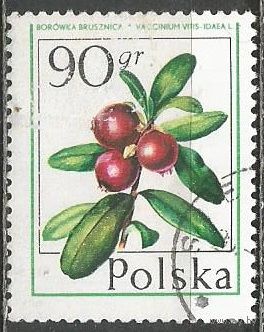Польша. Лесные ягоды. Клюква. 1977г. Mi#2488.