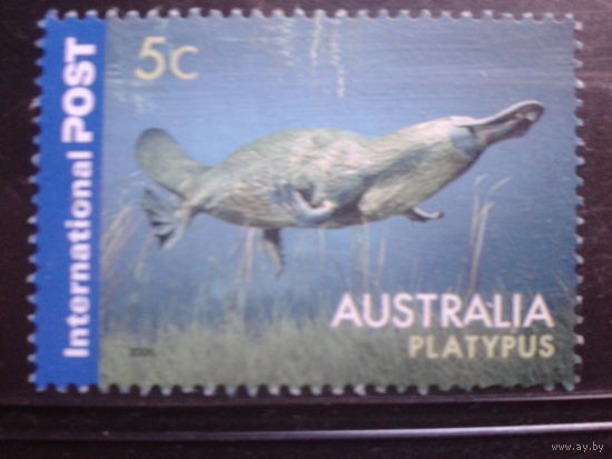 Австралия 2006 морская фауна