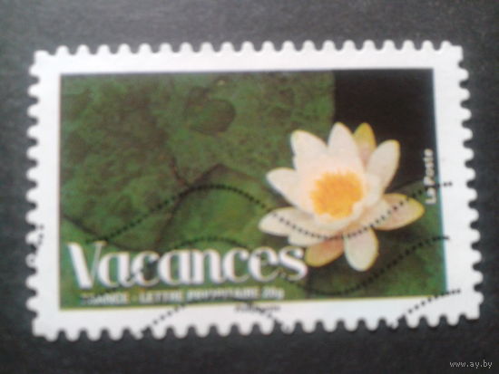 Франция 2008 цветок
