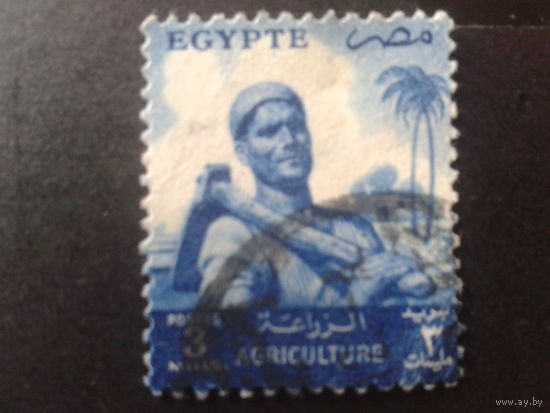 Египет 1953 стандарт, рабочий