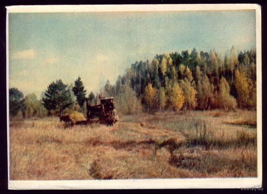 1956 год На полях Восточной Сибири