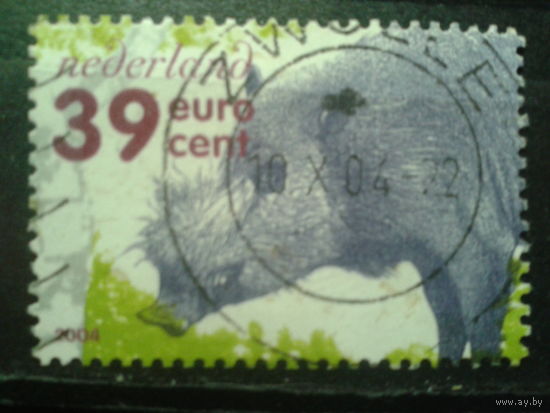 Нидерланды 2004 Кабан, марка из блока