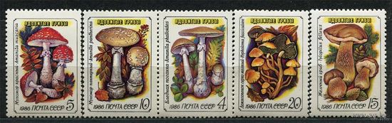 Ядовитые грибы. 1986. Полная серия 5 марок. Чистые