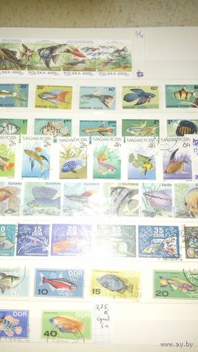 Коллекция почтовых марок мира на тему фауна и флот.