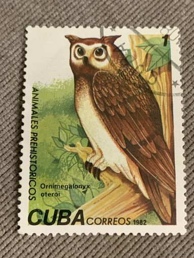Куба 1982. Птицы. Ornimegalonyx oteroi. Марка из серии