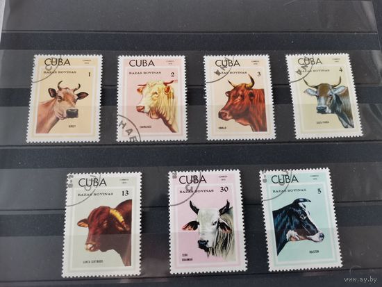 Куба 1973г. Породы крупного рогатого скота *